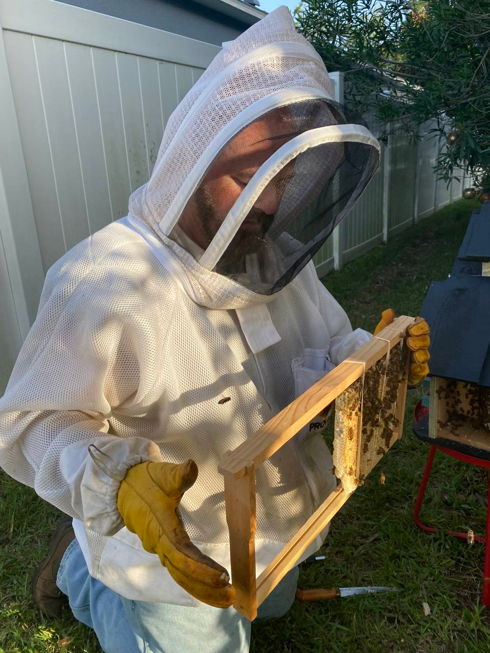 A small Odessa bee yard