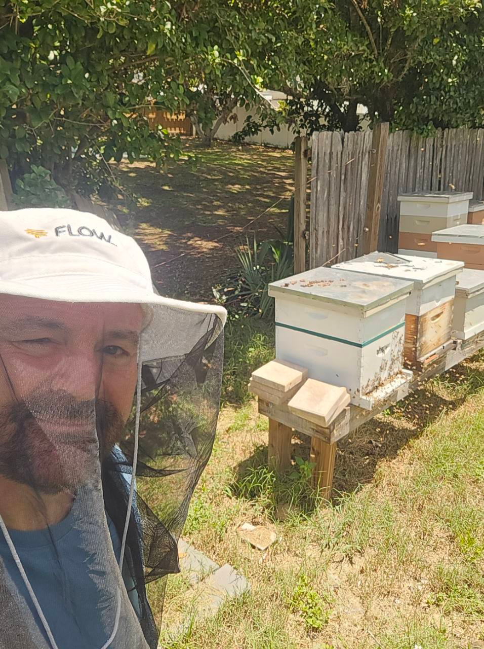 Lake Grace Bees beekeeper near backyard hives